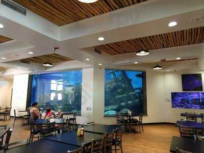 Shark Reef Cafe