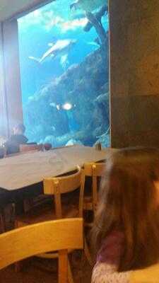 Shark Reef Cafe