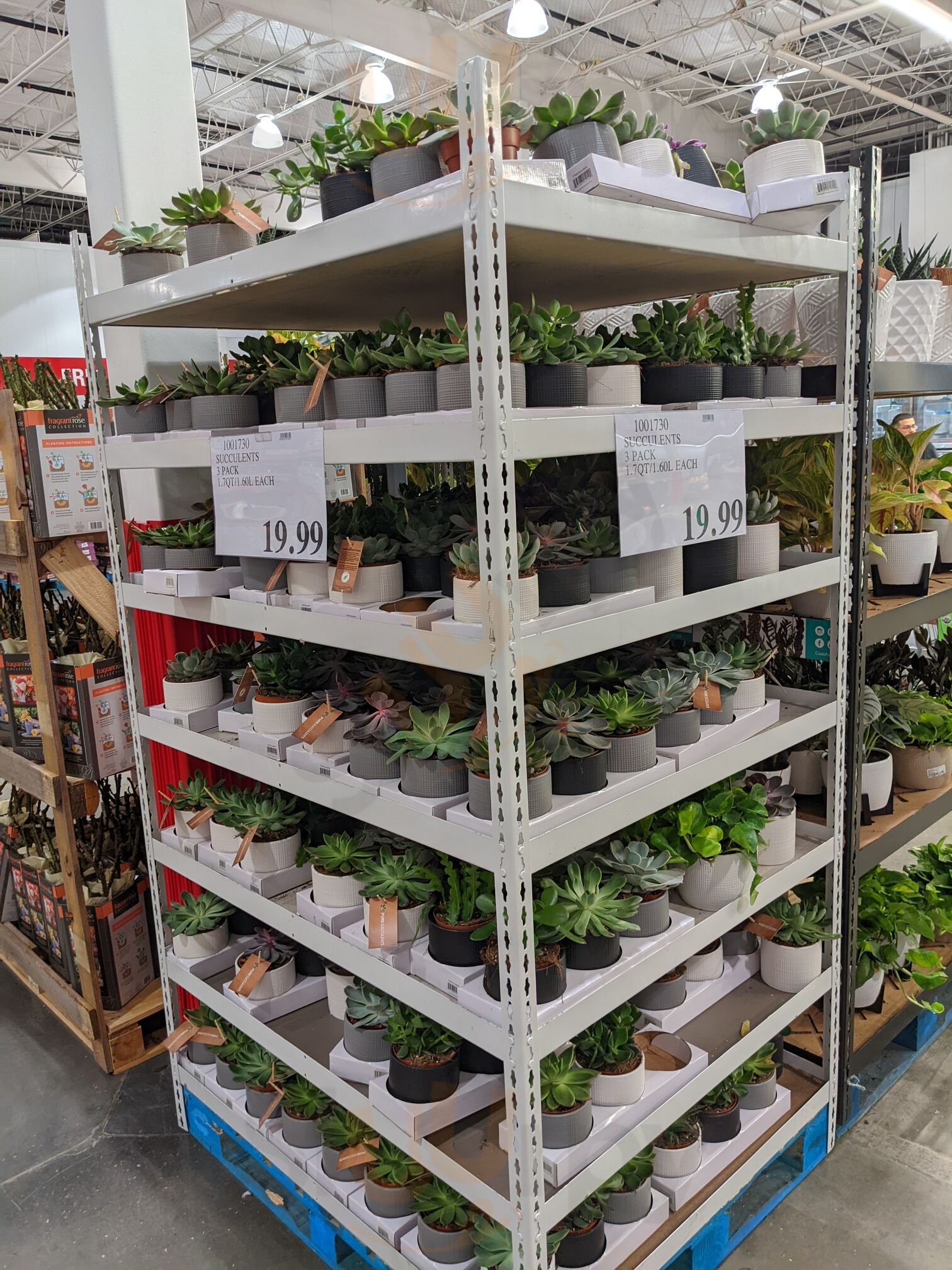 Costco