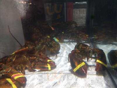 Red Lobster