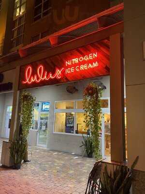 Lulu's Nitrogen Ice Cream