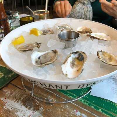 Merchant Oyster Co