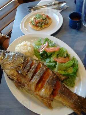 Lapa Lapa Seafood & Drinks