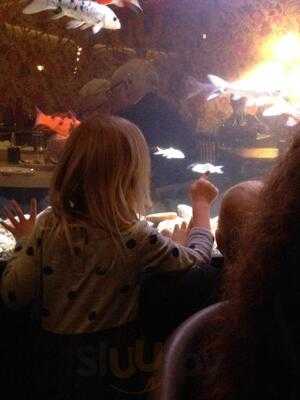 Rainbow Chinese Restaurant