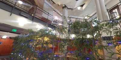 Pho 16th St. Vietnamese Grill