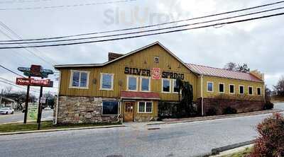 Silver Spring Mining Company