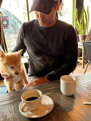 Joe Vinny & Bronsons