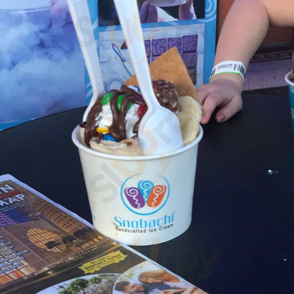 Snobachi Handcrafted Ice Cream