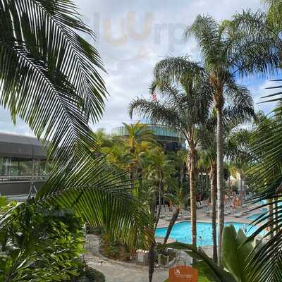 Marina Kitchen - San Diego Marriott Marquis & Marina