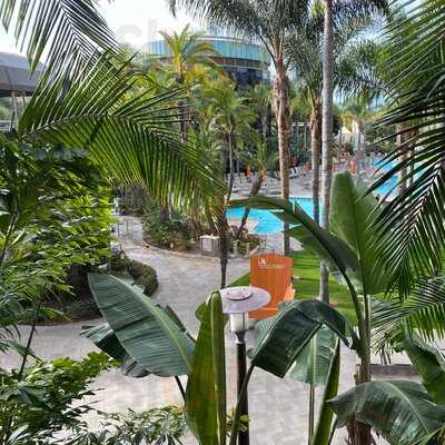 Marina Kitchen - San Diego Marriott Marquis & Marina