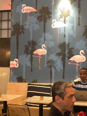 Bluestone Lane Dumbo Cafe