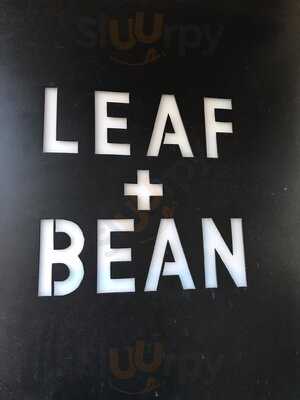 Leaf And Bean