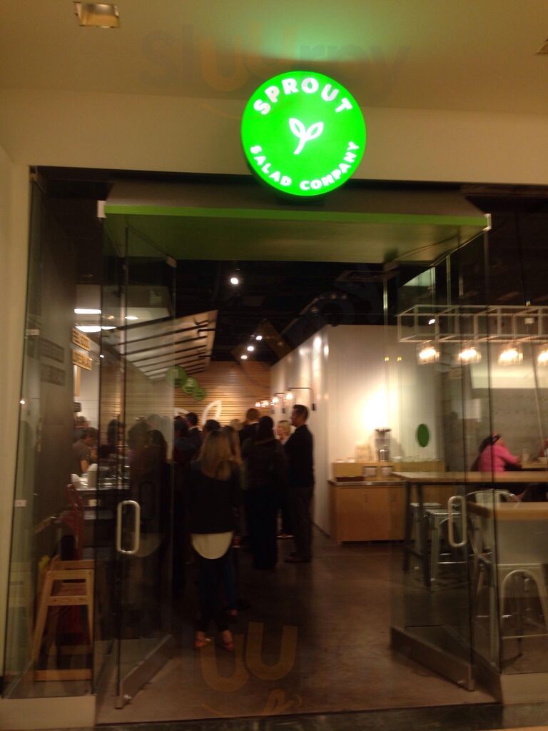 Sprout Salad Company