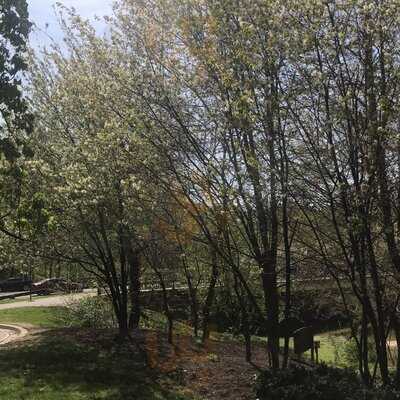 Foto 27216002