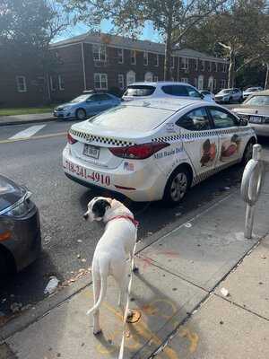 Mill Basin Kosher Deli