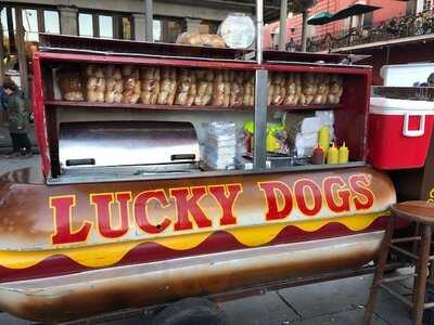 Lucky Dogs