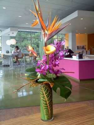 Tini's Frozen Yogurt Bar