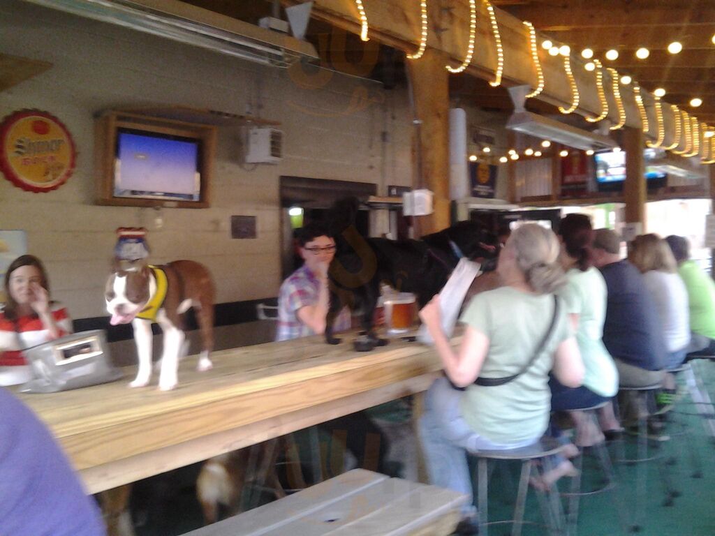 Dog Bar