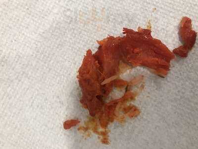 Kashmir Indian Restaurant