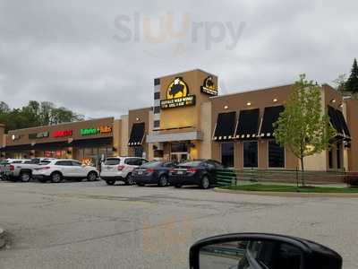 Buffalo Wild Wings