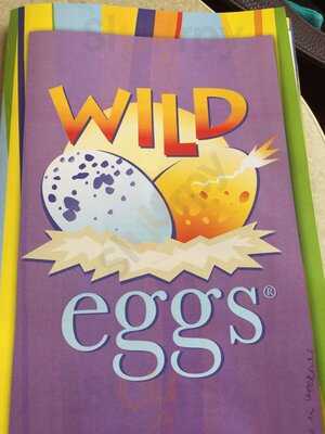 Wild Eggs