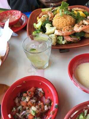 Patron Mexican Grill