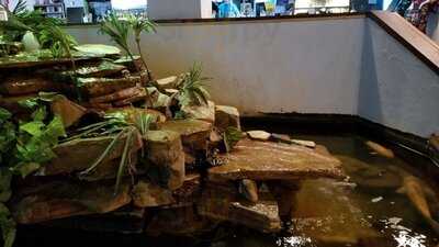 Kabuto Japanese House Of Steak