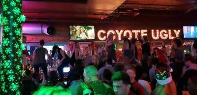 Coyote Ugly Saloon