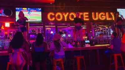Coyote Ugly Saloon