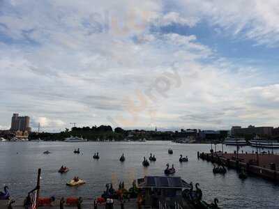 Uno Pizzeria & Grill