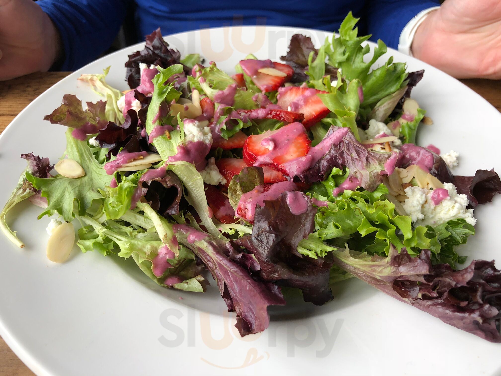 Revolution Rotisserie Pleasant Ridge