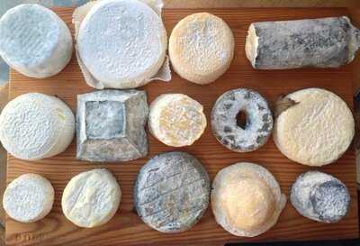 Formaggio Kitchen South End