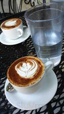 Espresso Vivace Alley 24