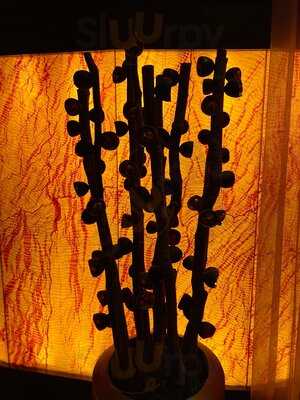 Otoro Robata Grill & Sushi