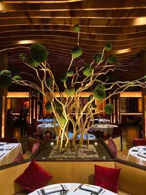 Otoro Robata Grill & Sushi