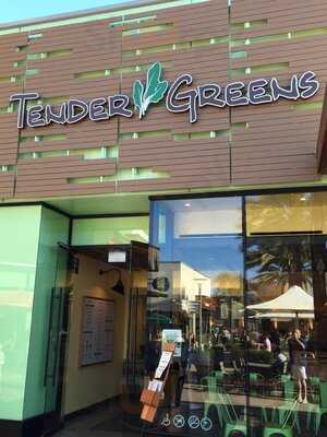 Tender Greens