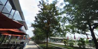 Whaley's Raw Bar And Seafood Hall