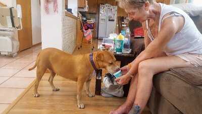 Bahama Buck's On Paseo