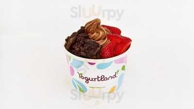 Yogurtland Montgomery Plaza