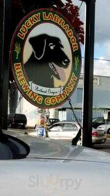 Lucky Labrador Brew Pub