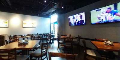 Levee At The River House