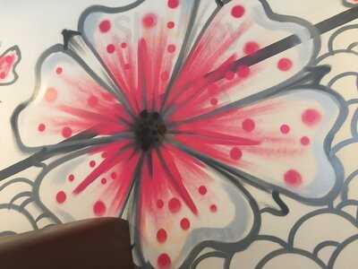 Hamachi Sushi & Ramen