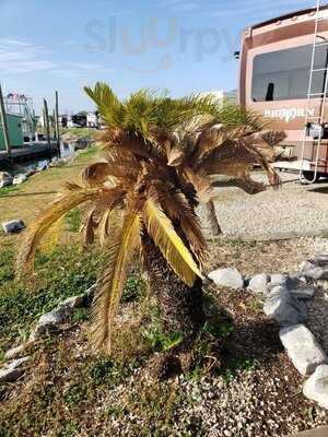 Pontchartrain Landing And Rv Park Abd Rv Park