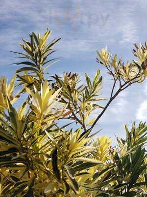 Pontchartrain Landing And Rv Park Abd Rv Park