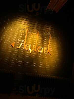 The Skylark