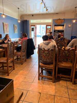 The Little Chihuahua