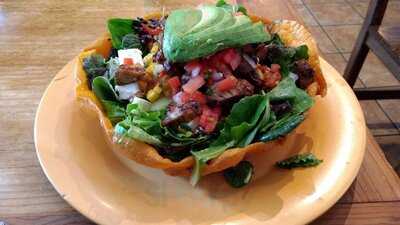 The Little Chihuahua