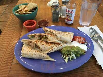 The Little Chihuahua