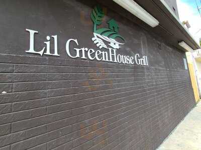 Lil Greenhouse Grill
