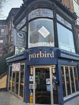 Purbird